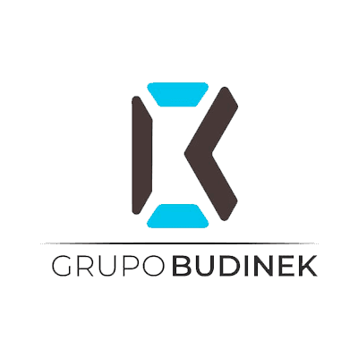Grupo Budinek